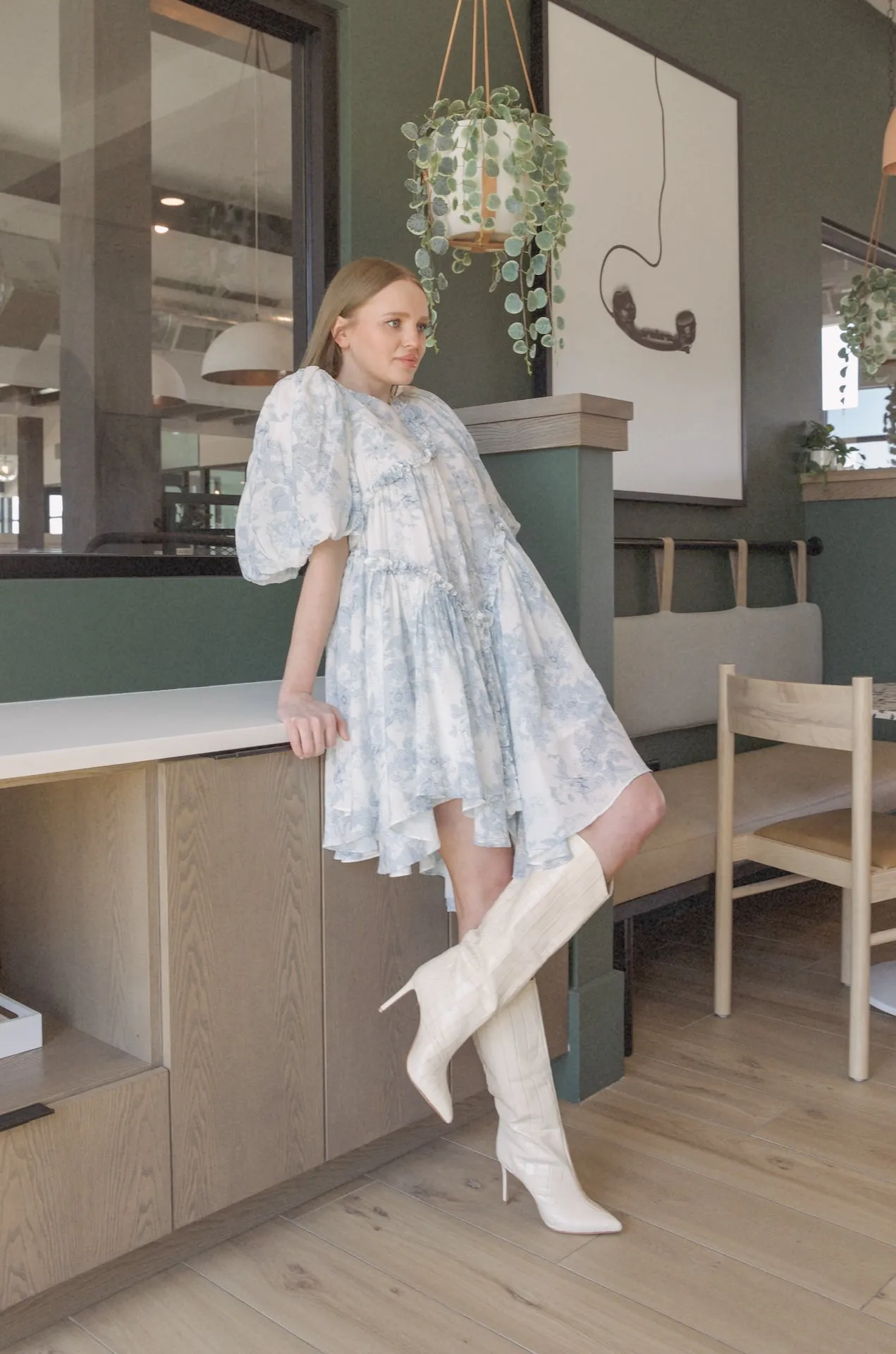 Toile Asymmetrical Mini Dress