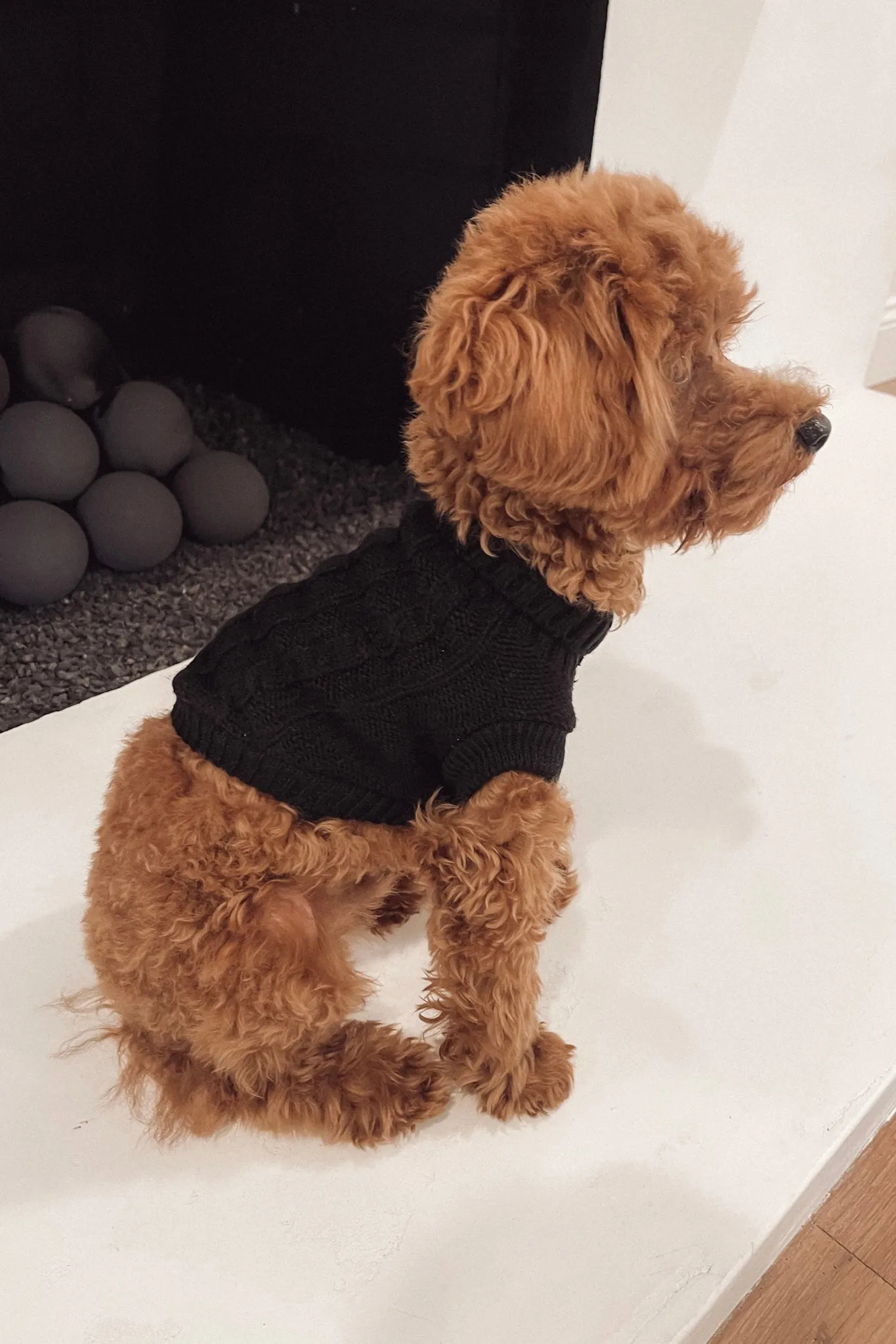 Unleashed - Black Knit Sweater
